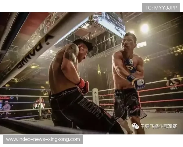 MMA赛事规则优化提升竞技观赏性